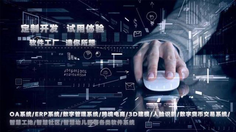 重庆软件开发:信息技术的快速脉搏