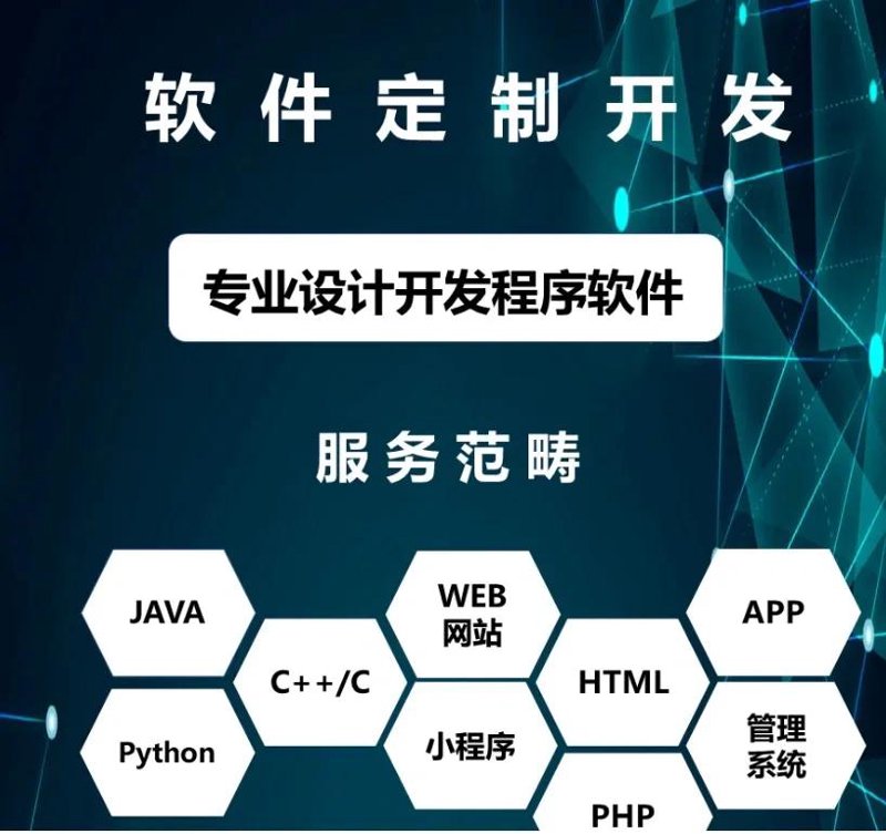 软件定制开发——企业数字化转型的新引擎
